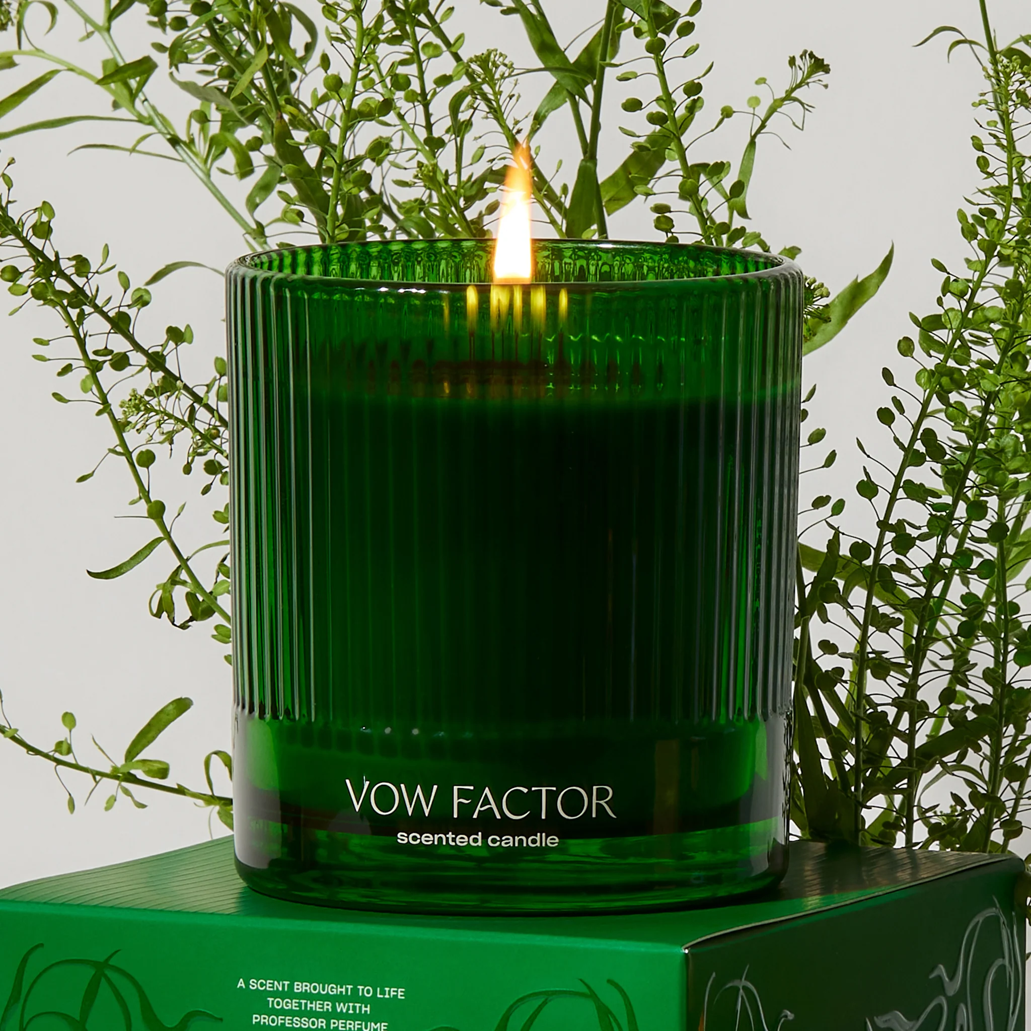 308-vow-factor-candle-10.webp Vow Factor Candle