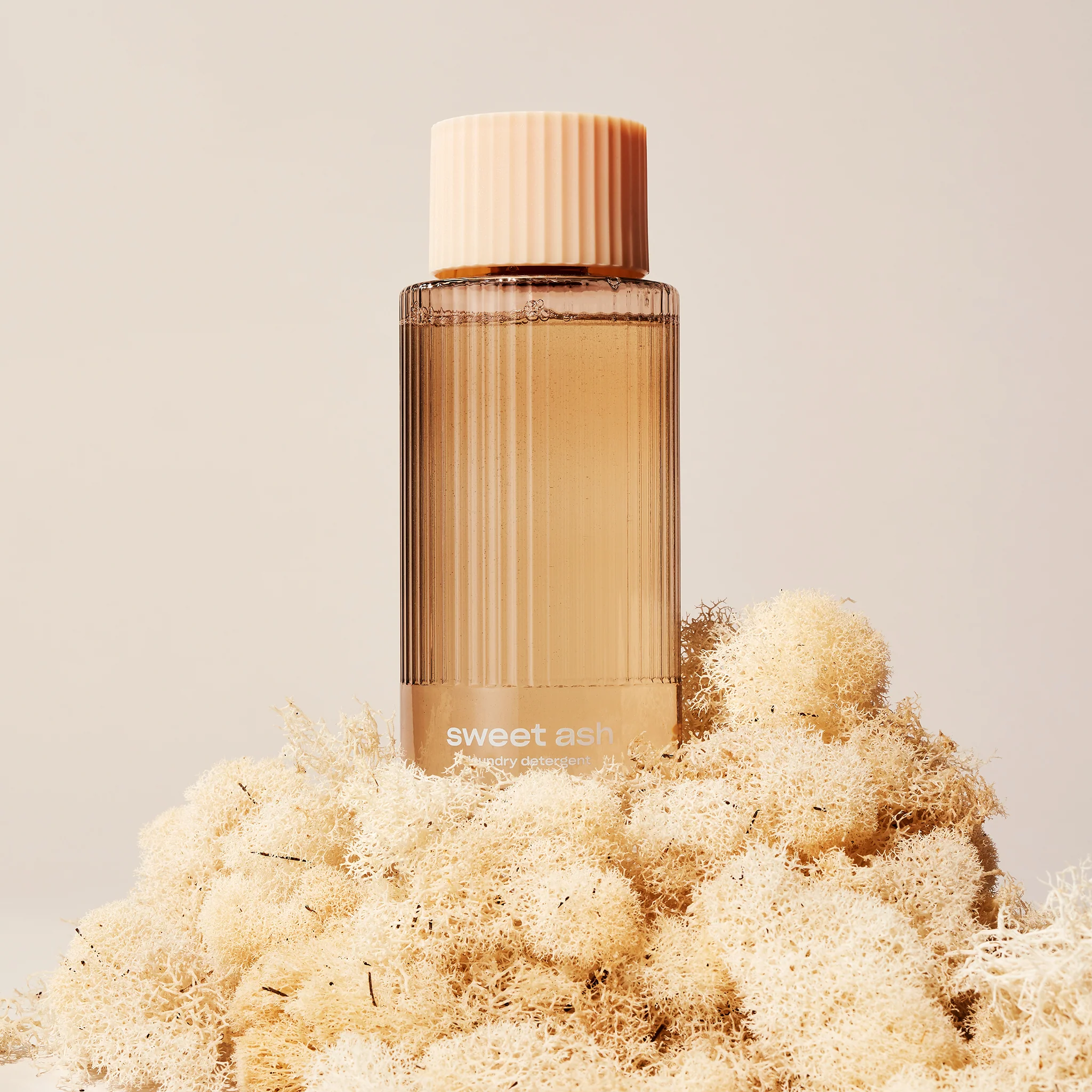459-sweet-ash-everything-wash-2.webp Sweet Ash Everything Wash
