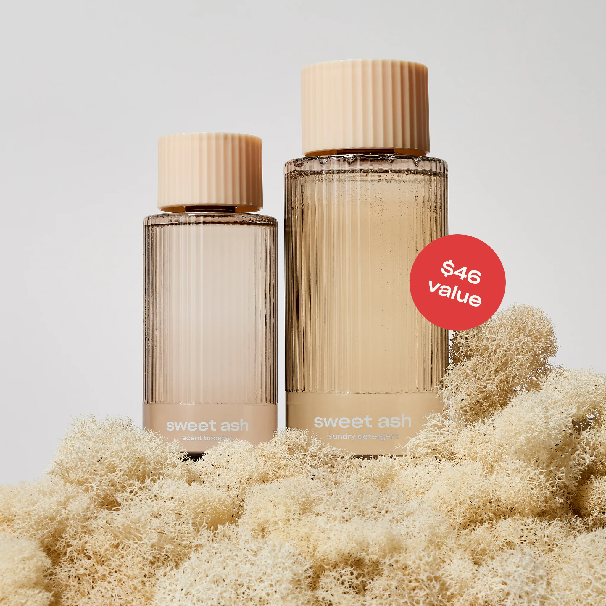 459-sweet-ash-everything-wash-6.webp Sweet Ash Everything Wash