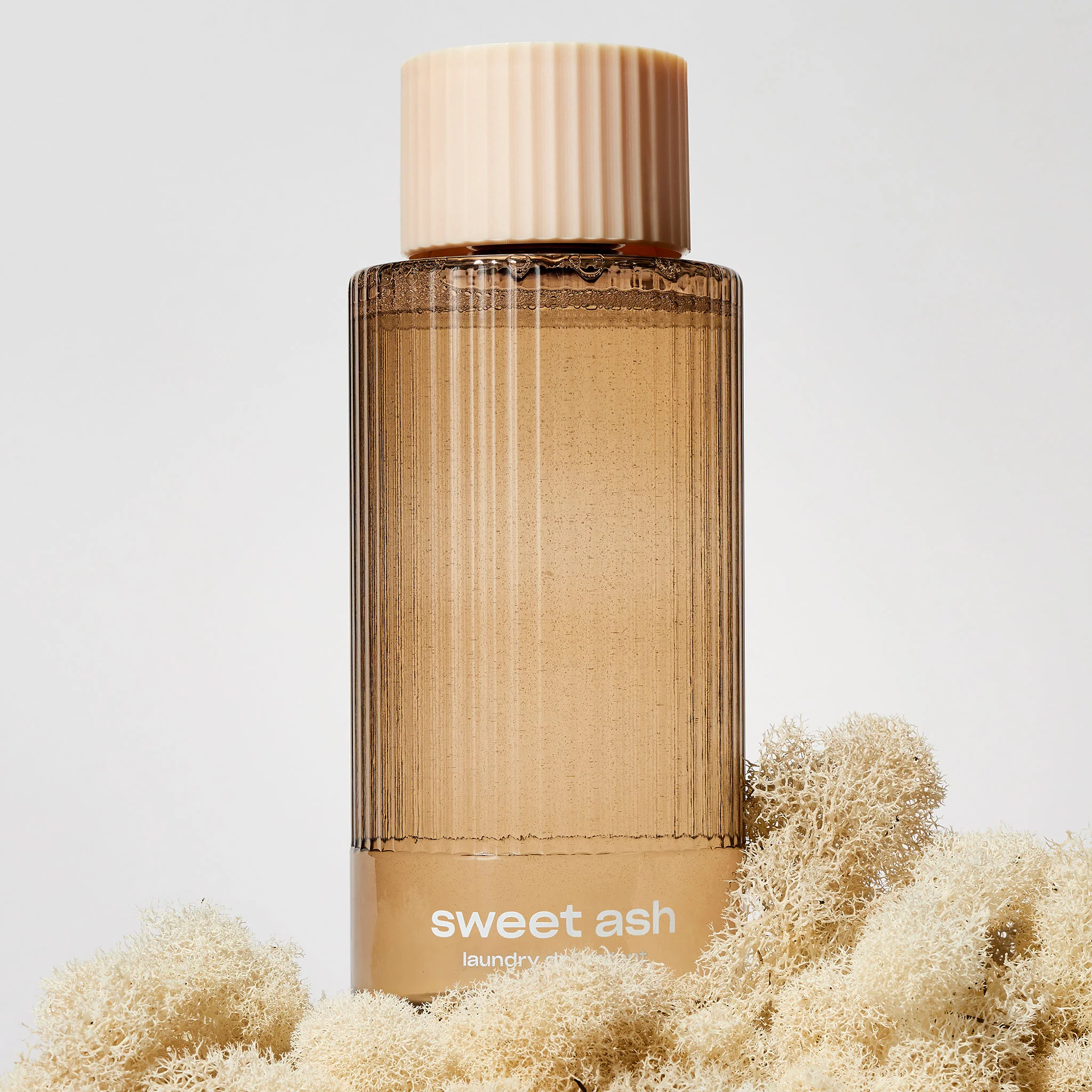 459-sweet-ash-everything-wash-9.webp Sweet Ash Everything Wash