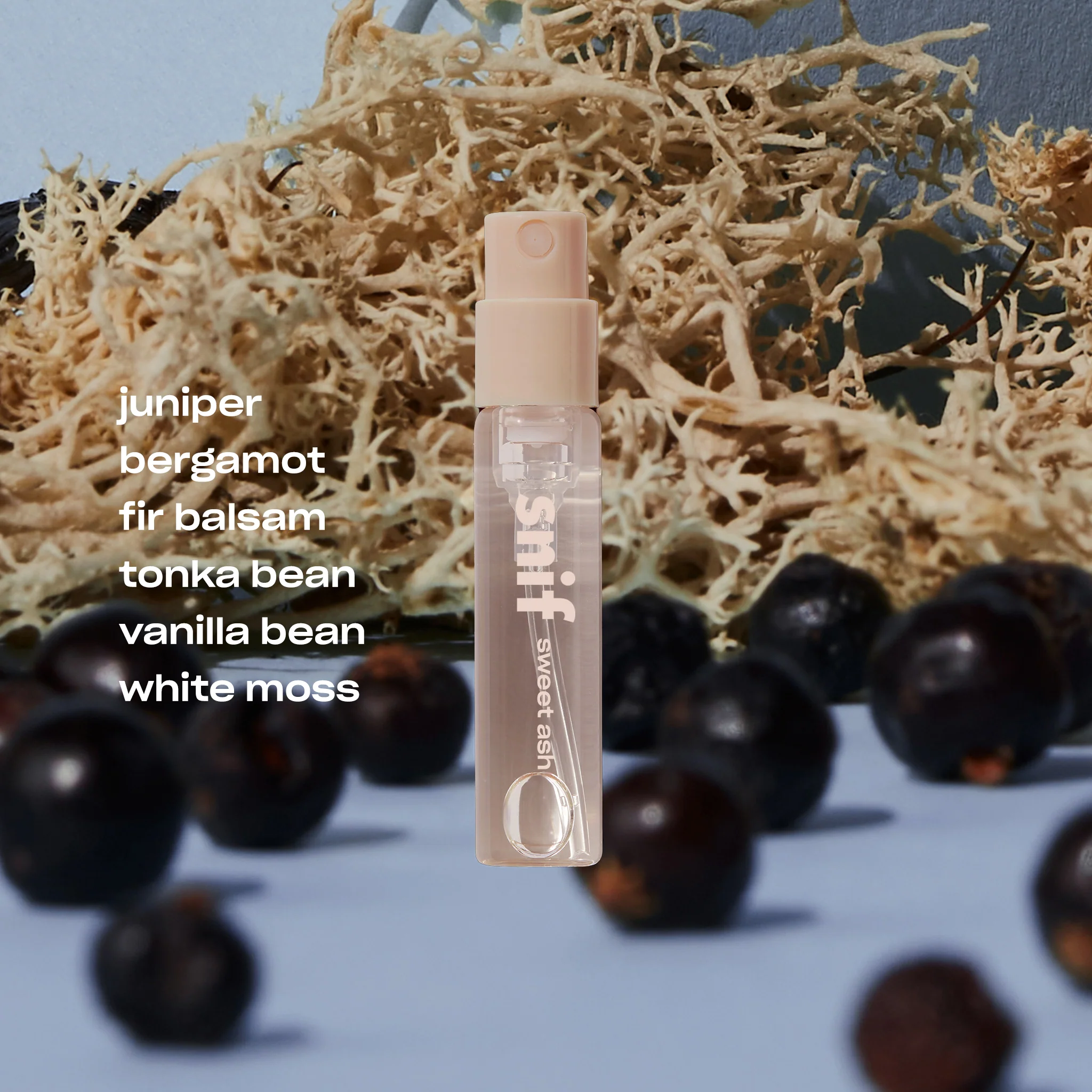 576-bestseller-sample-set-4-x-2-ml-fragrances-6.webp BESTSELLER SAMPLE SET - 4 x 2 ML FRAGRANCES